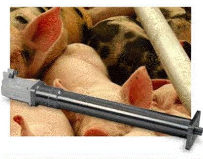 Pork Processing Plant