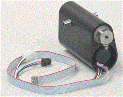 Animatronics: Theme Park Ride